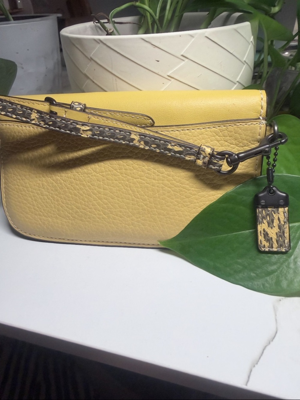 COACH HAY YELLOW/COLORBLOCK EXOTIC SNAKESKIN CLUTCH - Picture 5 of 8
